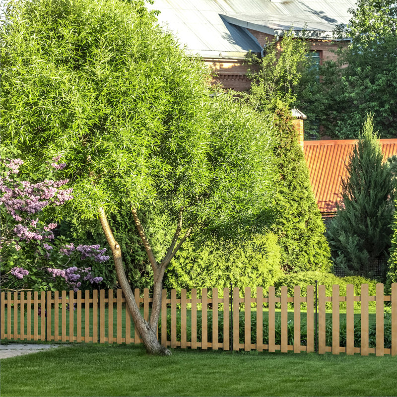 Yardlink Cedar Fence Panel & Reviews | Wayfair
